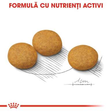 Royal Canin Medium Dermacomfort Care – Hrană Uscată pentru Câini de Talie Medie cu Piele Sensibilă – 12 kg
